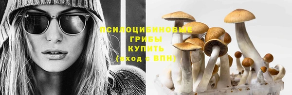 гидропоника Пестово