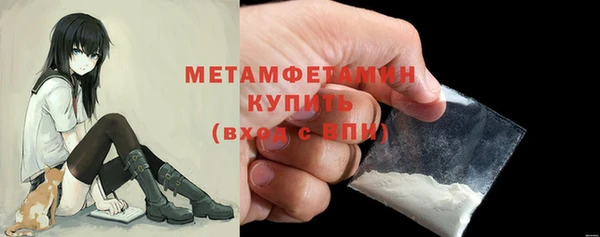 шишки Щигры