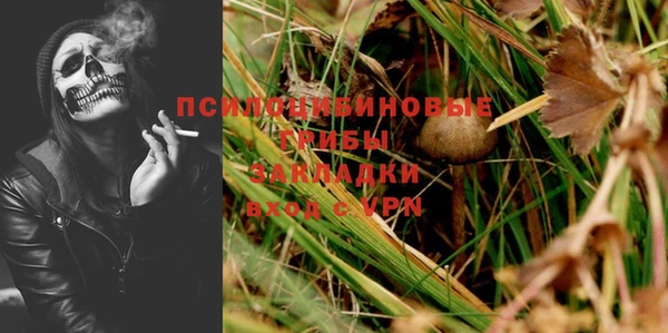 герыч Заводоуковск