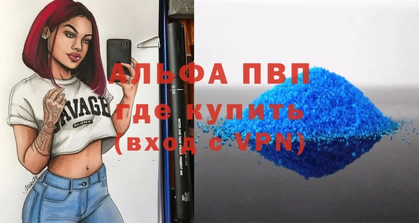 стаф Щёлкино